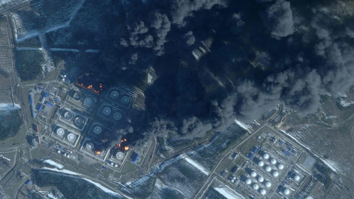 Beyond the Record: Exploring Giant Earthworms Like the Gurgling Gippsland